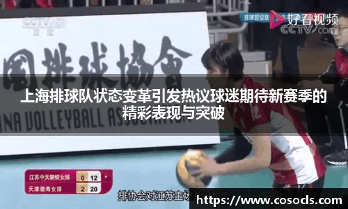 新葡的京集团